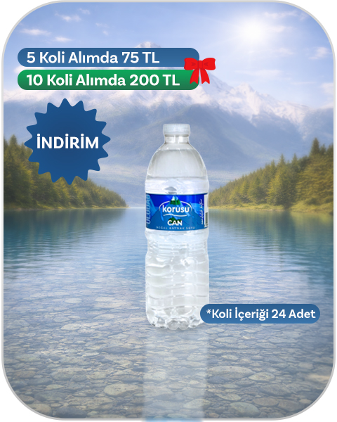 Korusu 0.5 L 24 Lü