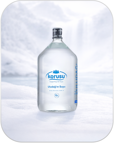 15 LT KORUSU CAM