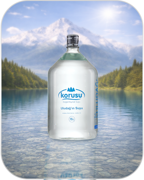 15 LT KORUSU CAM